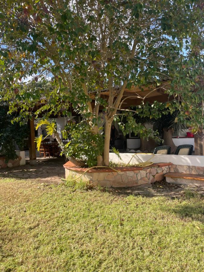 Roy House Villa Alghero Exterior photo